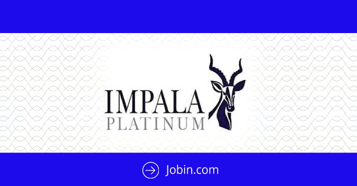 Impala Platinum Mine